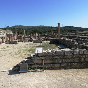 IMG_4497
