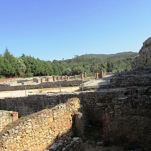 IMG_4498