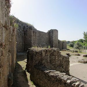 IMG_4500