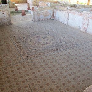 IMG_4515