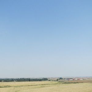 IMG_9597