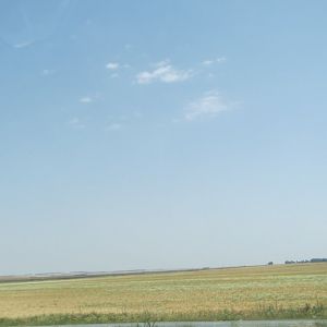 IMG_9598