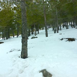 IMG_3544
