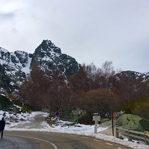 IMG_3554