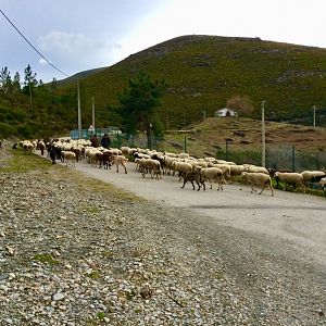 IMG_3562