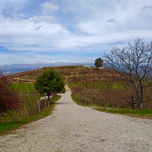 IMG_20180401_125002893