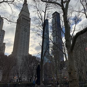 IMG_8462