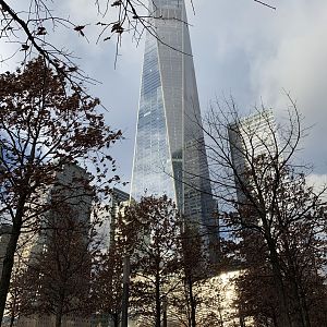 IMG_8668