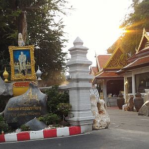 03Goldemmout