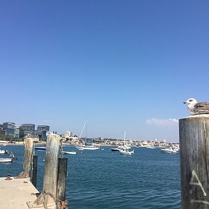 Cascais