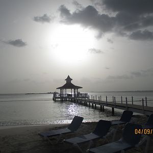 IMG_2931