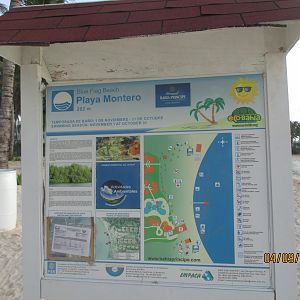 IMG_2951