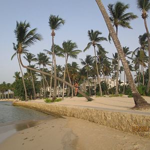 IMG_2970