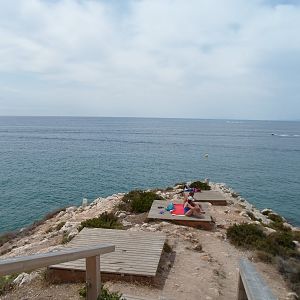 SAM_0109