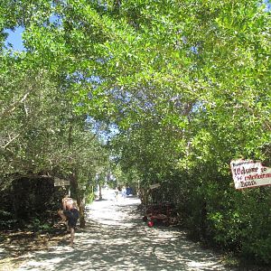 IMG_1333