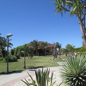 IMG_1334