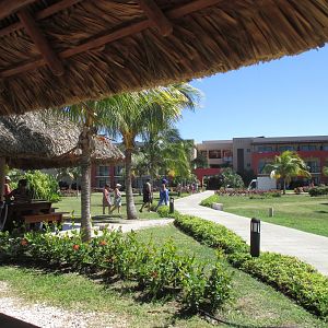 IMG_1337