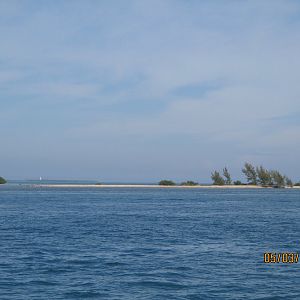 IMG_1416