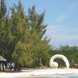 IMG_1426