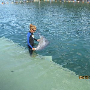 IMG_1474