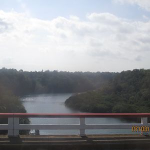 IMG_1538