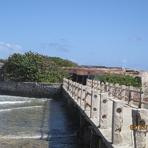 IMG_1551