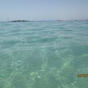 IMG_2256