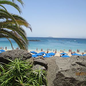 IMG_2290