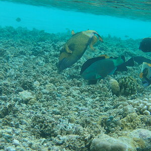 Hideway 018.JPG