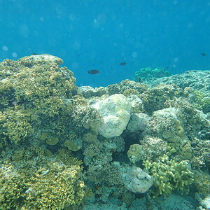 Hideway 094.JPG