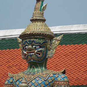 DSCN0439.JPG