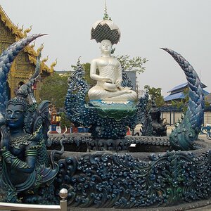 DSCN0600.JPG