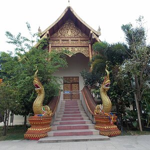 DSCN0910.JPG