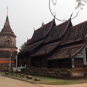 DSCN1297.JPG