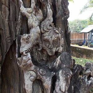 DSCN1318.JPG