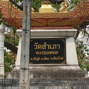 DSCN1420.JPG