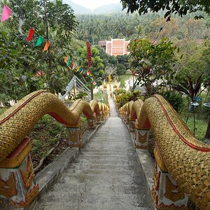 DSCN1997.JPG