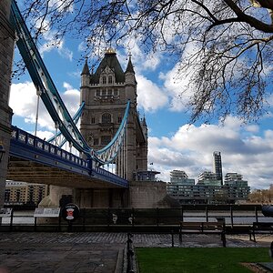 20190310_093435.jpg