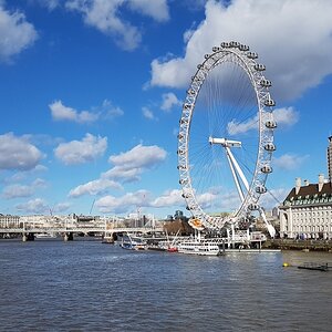 20190310_135905.jpg