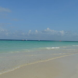 DSC_0106.JPG