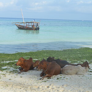DSC_0142.JPG