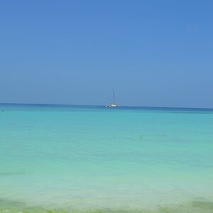 DSC_0194.JPG