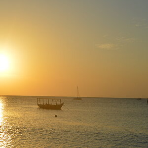 DSC_0321.JPG