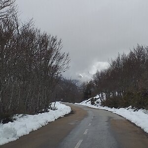 20190409_125248.jpg