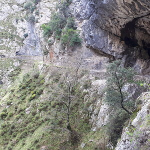20190409_155349.jpg