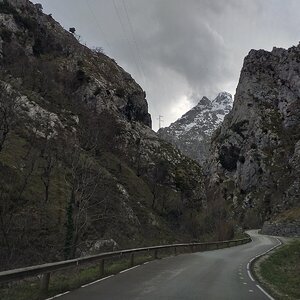 20190409_165049.jpg