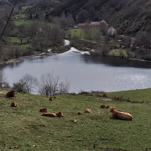 20190409_170311.jpg