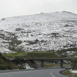 IMG_0337.JPG