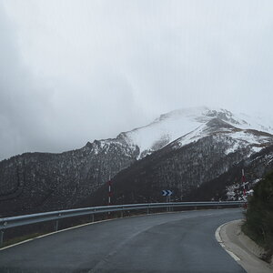IMG_0478.JPG