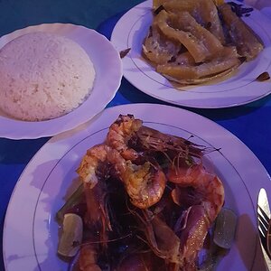20190222_204933.jpg